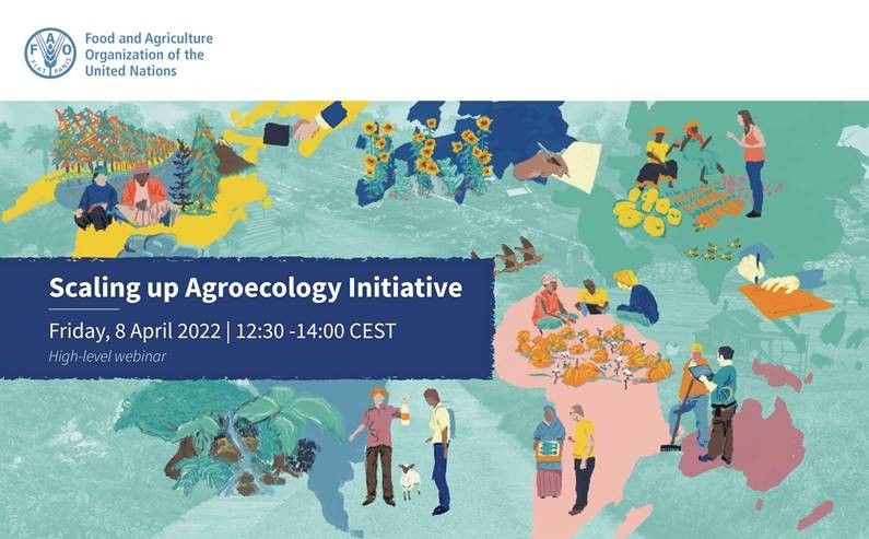 FAO Agroecology